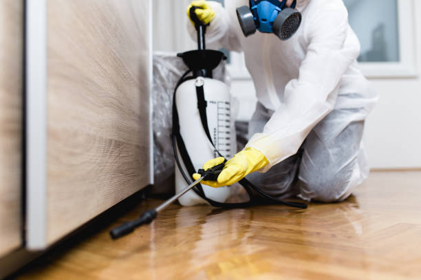 Best Wasp Removal Services  in West Wareham, MA