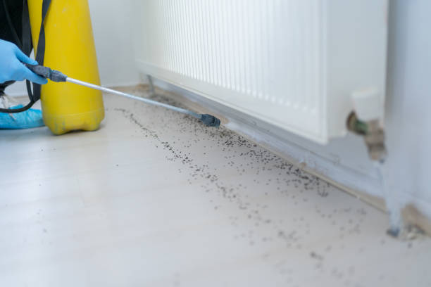 Best Pest Inspection Near Me  in West Wareham, MA