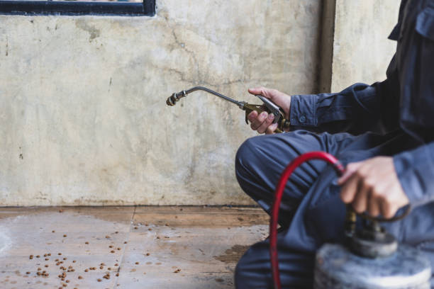 Best Affordable Pest Control Services  in West Wareham, MA
